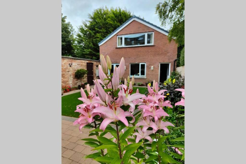 Bt 9 Granny Flat & Walled Garden เบลฟาสต์ ภายนอก รูปภาพ