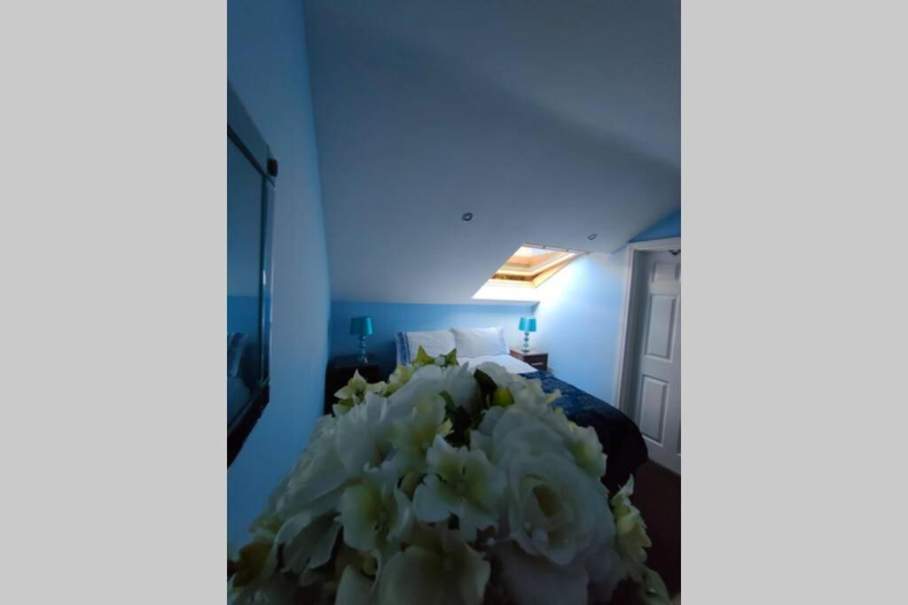 Bt 9 Granny Flat & Walled Garden เบลฟาสต์ ภายนอก รูปภาพ