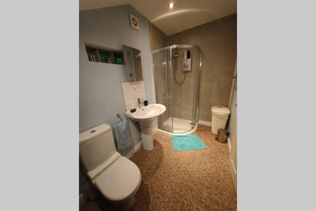 Bt 9 Granny Flat & Walled Garden เบลฟาสต์ ภายนอก รูปภาพ